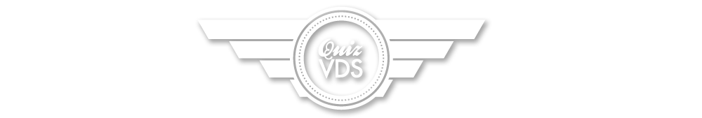 Logo QuizVds