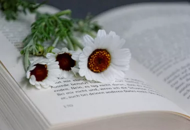 QuizVDS Blog|Visibilità e Condizioni IMC: guida completa alle condizioni meteorologiche per il volo strumentale