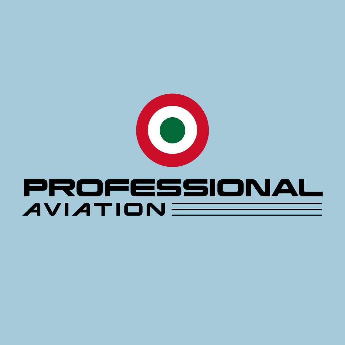 Logo professional aviation