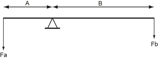 question 031-001.webp
