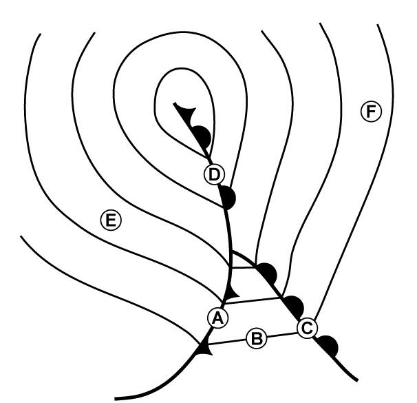 question 050-233.webp