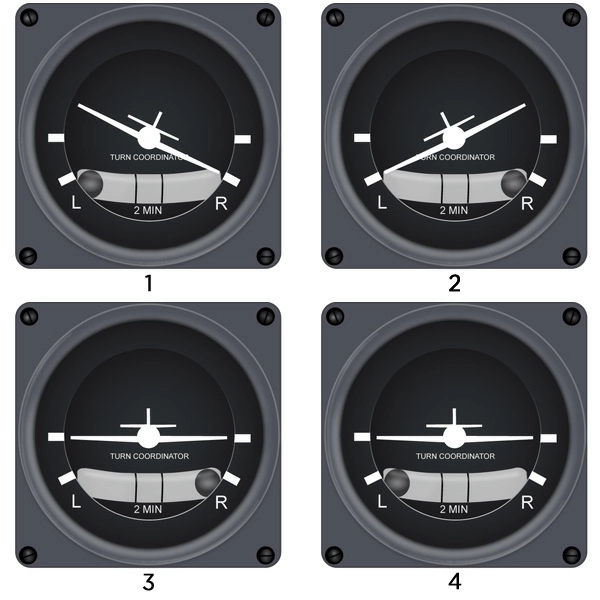 question bille_aiguille_4vues.webp