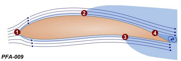 question PFA-009.webp