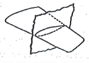 Sezionando un'ala con un piano ideale parallelo alla direzione del moto e perpendicolare al piano trasversale dell'ala stessa, si determina una figura geometrica cheprende il nome di: Principi del volo - Sezionando un'ala con un piano ideale parallelo alla direzione del moto e perpendicolare al piano trasversale dell'ala stessa, si determina una figura geometrica cheprende il nome di: