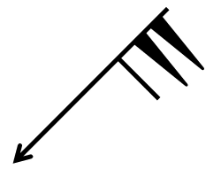 question quiz563.webp