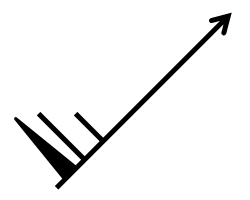 question quiz564.webp