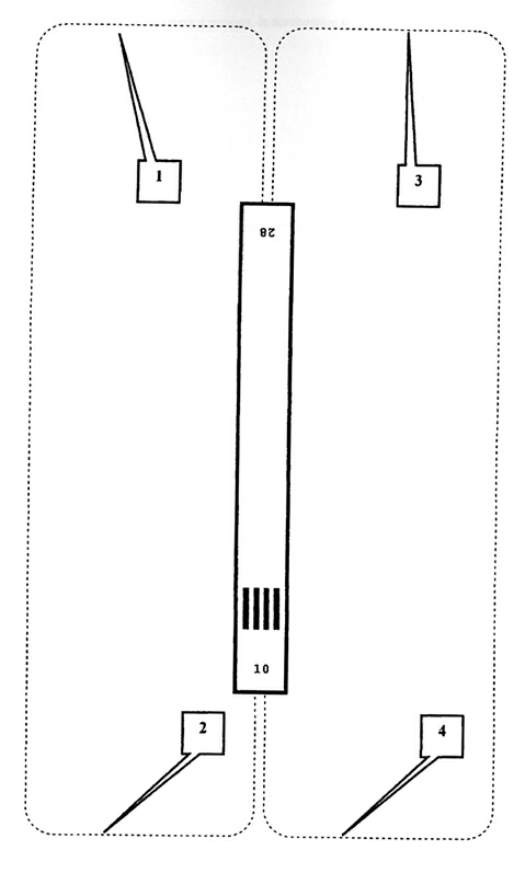 Aérodynamique - (Pour cette question, utilisez l'annexe 010-5204).Vous êtes dans le circuit d'aérodrome. Le contrôleur vous demande de rappeler en étape de base gauche pour la piste 10. Cela correspond à la position: